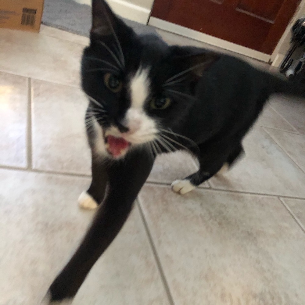 Meet your Posher, Jennifer